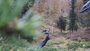 В Кировске 27 июня «Таинственный лес» откроет летний сезон шоу барабанщиков и Парадом невест