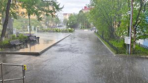 Мурманск за полмесяца дождей перевыполнил норму осадков на 134%