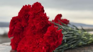 «Помнить — значит жить»: в День памяти и скорби Мурманская область замрёт на минуту вместе со всей страной