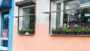 В Никеле с карниза магазина неизвестные утащили кашпо с цветами