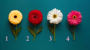 Верните страсть в отношения — 4 цветка работают как психологи: заглянем в подсознание