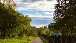 В Верхнетуломском директора школы оштрафовали за сокрытие несчастного случая с сотрудницей