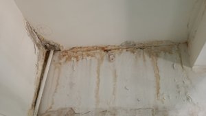 «Крыша течет с самой постройки»: в Мончегорске жители дома годами не могут добиться ремонта