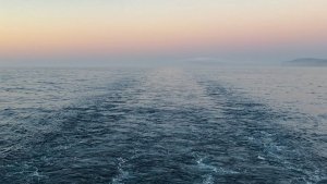 Желудок выстрелил наружу: мурманский моряк объяснил жуткую аномалию у пойманной рыбы