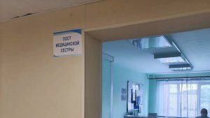 В Мурманске пациенты больницы пожаловались на нашествие клопов в палатах
