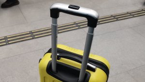 Привезли болезнь Лайма из отпуска: в Мурманской области укушенный клещом житель заболел боррелиозом
