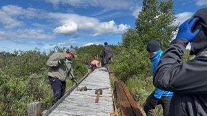 Как в Петербурге: в заповеднике «Пасвик» появился «Банковский мост»