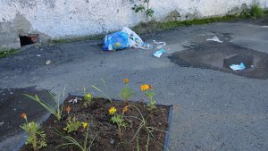 «Не будьте свиньями»: в Никеле жильцы дома устроили свалку посреди ухоженного двора