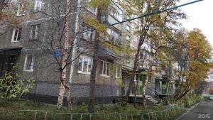 Стены облеплены гигантскими насекомыми: пятиэтажку на Самойловой в Мурманске атакуют тараканы