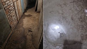 «В подвал течет вода»: жители Кандалакши пожаловались на разрушенную отмостку в доме