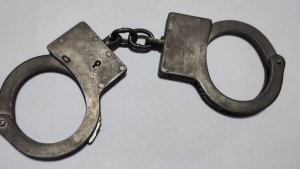 Связали и заперли в багажнике ради 25 миллионов: мурманчанки похитили дочь частного врача