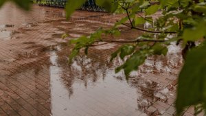 Мурманскую область в ближайшие дни накроют грозы и затяжные дожди из-за циклона с Белого моря