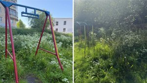 Сломанные качели и борщевик: мурманчане пожаловались на запущенную детскую площадку на Аскольдовцев