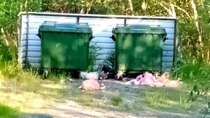 «У баков и урн валяются упаковки от еды»: в Никеле отдыхающие замусорили зону отдыха