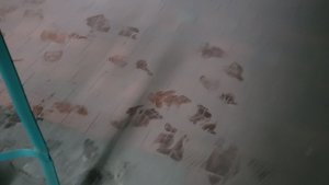 В Гаджиево жильцы дома воюют с соседями, которые завалили строительной пылью три этажа