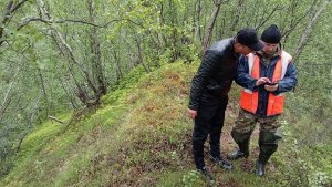 В Печенгском округе месяц продолжаются поиски 30-летней северянки — следы затерялись в лесу