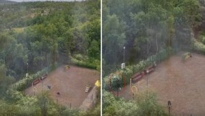 Поймали на камеру: в Заполярье зооняня выбрасывает собачьи отходы за забор вопреки замечаниям
