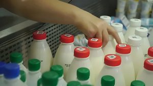Удар по кошельку: с 1 июля меняется НДС на «молочку» — последствия для потребителей