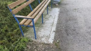 «Вместо уюта — свинарник»: в Сафонове сотрудники автосервиса устали убирать мусор за отдыхающими