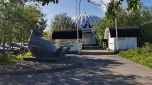 Андрей Чибис поблагодарил жителей Мурманской области за собранные на океанариум деньги