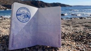 За сёрфинг на арктических волнах будут ставить штамп в «Паспорт Полярника»