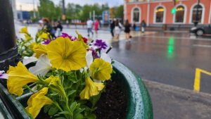 В Мурманске магазины и кафе могут получить денежный приз за лучшее летнее оформление