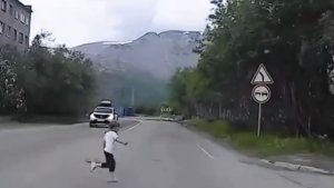 В Апатитах девочка внезапно выскочила на дорогу под колеса автомобиля