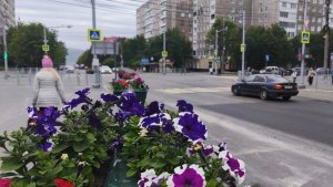 На Мурманскую область после летнего тепла обрушатся мощные ливни и похолодание