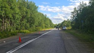 Умер до приезда скорой: в Кольском округе пьяный водитель насмерть сбил пешехода