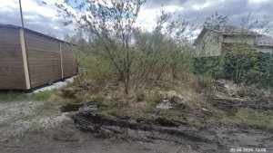 В Кольском округе прокуратура отобрала у мурманчанки 62 участка, которые она тайно переписала на себя