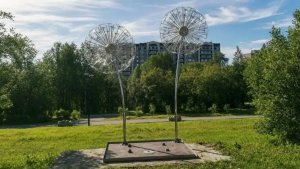 В мурманском парке «Чистый ручей» появились гигантские светящиеся одуванчики