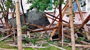 «Рябину записали в стройбригаду»: в Никеле ремонтники завалили деревья железом