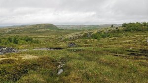 «Пороги обмелели»: мурманские рыбаки сообщили о резком спаде уровня воды в ручьях тундры