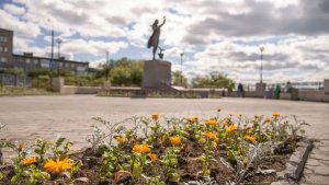 Цветы для «Ждущей»: одно из любимейших мест мурманчан украсили растениями с секретом