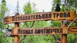 Восхождение на гору и прогулка на лодках: в Лапландском заповеднике устроят фестиваль природы «Унесённые в тундру»