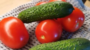 Ботулизм и сальмонелла: жителям Заполярья назвали самые опасные продукты в жару