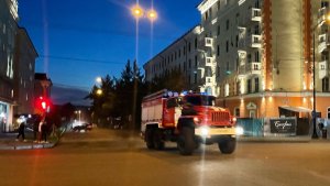 В Мурманске пожар в пятиэтажке на Аскольдовцев унес жизни человека и кошки