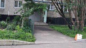 «Скоро упадёт»: в Мурманске возле подъезда дома дерево опасно накренилось над забором