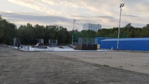 В Сафонове на детской площадке нашли мертвую домашнюю собаку