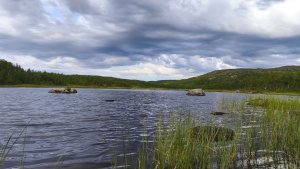 В Мурманской области жара надолго не задержится: прогноз на июль — август