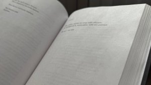 «Бумбатл» в Мурманской области: регион присоединился к сбору макулатуры