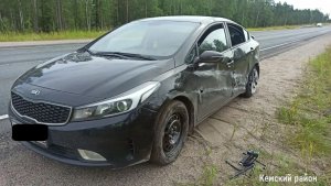 Мурманчанка на иномарке под Кемью протаранила отбойник — пострадал 12-летний ребенок