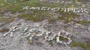 «Киров» и «Москва» посреди тундры: в Териберке туристы завалили природный парк каменными надписями