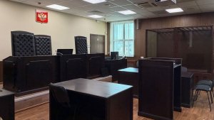 Кандалакшанка решилась на наркоподработку в интернете и рискует сесть в тюрьму на 20 лет