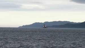 Мурманский рыбак нашел на юге Баренцева моря самого грустного обитателя глубин