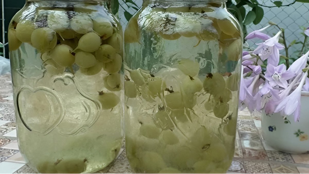 компот из крыжовника