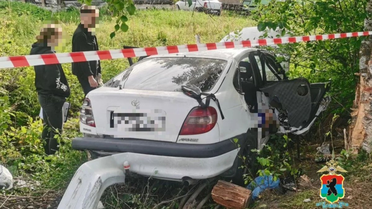 Последствия смертельного ДТП в Карелии