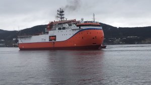 3 свадьбы, 5 белых медведей: сезон круизов к Северному полюсу завершён