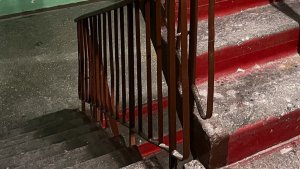 В Коле поход в подъезд за закладкой обошелся наркоманке в 50 тысяч штрафа и условный срок
