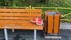«Дети возле мусорки будут есть?»: в Мурмашах подложили разрезанный арбуз на игровую площадку